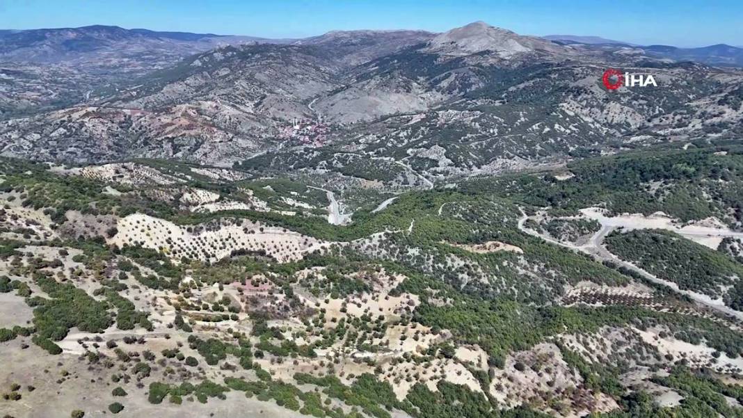 Aylarca depolarda bekletildi: Şimdi tezgahları süsleyecek! Ankara armudunun ilginç yolculuğu şaşırttı 9